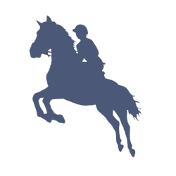 icon Pferde